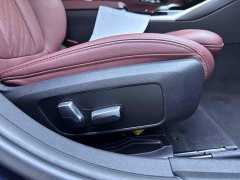 BMW 3 Series 320Li M Sport Package - ფოტო 19