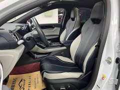 BYD Qin PLUS 2021 EV 500KM Luxury - ფოტო 9