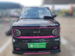 Geely Panda 210km Panda Kart - ფოტო 2