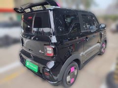 Geely Panda 210km Panda Kart - ფოტო 6