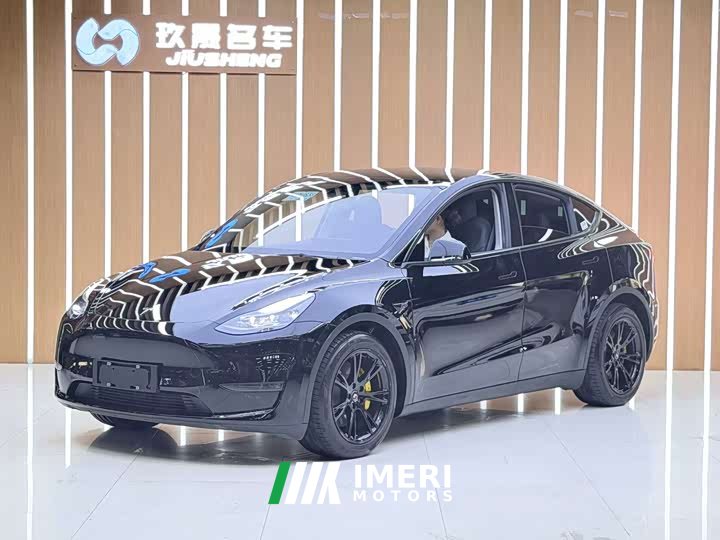 Tesla Model Y 2021 Standard Range RWD - ავტომობილი ჩინეთიდან