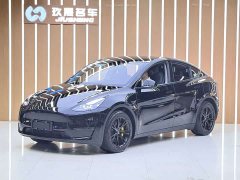 Tesla Model Y 2021 Standard Range RWD - ფოტო 1