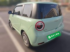 Changan Lumin 2023 301km Honey Fragrance Edition - ფოტო 4