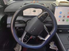 Chery Fengyun T9 2025 120 Long Range Deluxe 5-Seater LFP - ფოტო 15