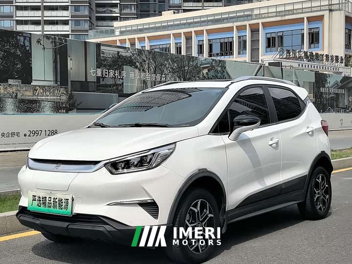 BYD Yuan Pro 2021 401KM Deluxe - ავტომობილი ჩინეთიდან