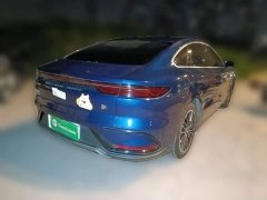 BYD Han DM-i 121KM Prestige - ფოტო 6
