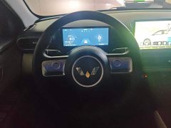 Wuling Binguo PLUS 2024 510km Flagship Four-Seater - ფოტო 15