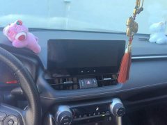 Toyota Wildland 2.0L CVT FWD Luxury Plus - ფოტო 13
