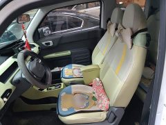Geely Panda Mini New Spring Edition Treasure Bear - ფოტო 11