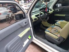 Geely Panda Mini New Spring Edition Treasure Bear - ფოტო 12