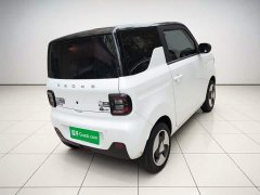 Geely Panda Mini New Spring Edition Treasure Bear - ფოტო 4