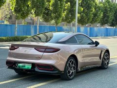 Neta GT 2023 580 AWD - ფოტო 7