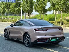 Neta GT 2023 580 AWD - ფოტო 9