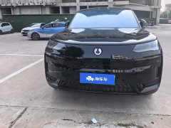 Denza BYD Denza N9 Flagship - ფოტო 2