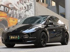 Tesla Model Y 2021 Standard Range RWD - ფოტო 1
