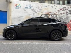 Tesla Model Y 2021 Standard Range RWD - ფოტო 3