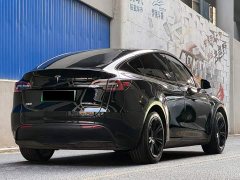 Tesla Model Y 2021 Standard Range RWD - ფოტო 5