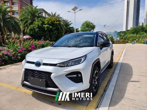 2021 Toyota Wildlander 2.5L E-CVT2WD Edition - ავტომობილი ჩინეთიდან