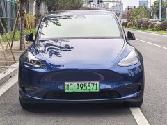 Tesla Model Y Long Range All-Wheel Drive - ფოტო 1