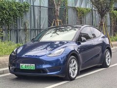 Tesla Model Y Long Range All-Wheel Drive - ფოტო 2