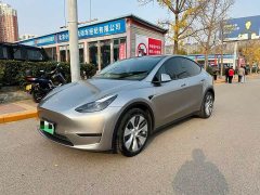 Tesla Model Y 2021 Standard Range RWD - ფოტო 1