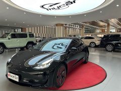 Tesla Model 3 Standard Range RWD Upgrade 3D6 - ფოტო 1