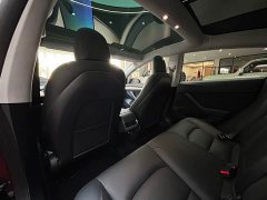 Tesla Model 3 Standard Range RWD Upgrade 3D6 - ფოტო 15