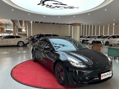 Tesla Model 3 Standard Range RWD Upgrade 3D6 - ფოტო 3