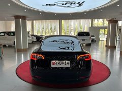 Tesla Model 3 Standard Range RWD Upgrade 3D6 - ფოტო 6