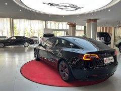 Tesla Model 3 Standard Range RWD Upgrade 3D6 - ფოტო 7