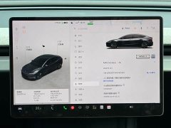 Tesla Model 3 2023 Rear-Wheel Drive - ფოტო 9