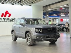 Great Wall Dachshund 2026 1.5T DCT Border Collie Edition - ფოტო 3