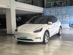 Tesla Model Y Long Range All-Wheel Drive 3D7 - ფოტო 1