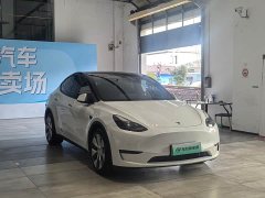 Tesla Model Y Long Range All-Wheel Drive 3D7 - ფოტო 3