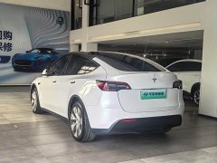 Tesla Model Y Long Range All-Wheel Drive 3D7 - ფოტო 9
