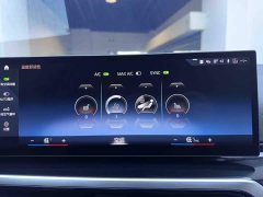 BMW 3 Series 320Li M Sport Package - ფოტო 14