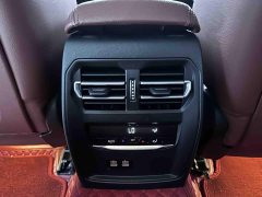 BMW 3 Series 320Li M Sport Package - ფოტო 19