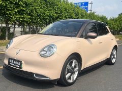 ORA Good Cat 400km Standard Range Muse Edition LFP Battery - ფოტო 1