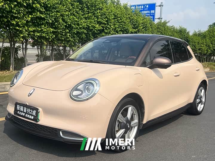 ORA Good Cat 400km Standard Range Muse Edition LFP Battery