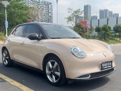 ORA Good Cat 400km Standard Range Muse Edition LFP Battery - ფოტო 2