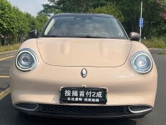 ORA Good Cat 400km Standard Range Muse Edition LFP Battery - ფოტო 6