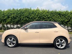 ORA Good Cat 400km Standard Range Muse Edition LFP Battery - ფოტო 7