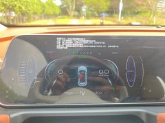 ORA Good Cat 400km Standard Range Muse Edition LFP Battery - ფოტო 8