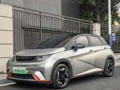 BYD Dolphin 405km Freedom Edition - ფოტო 1