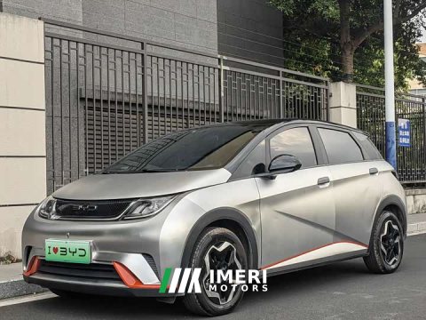 2022 BYD Dolphin 405km Freedom Edition - ავტომობილი ჩინეთიდან