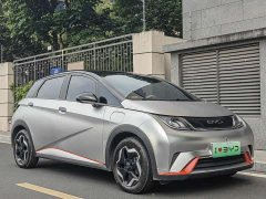 BYD Dolphin 405km Freedom Edition - ფოტო 3