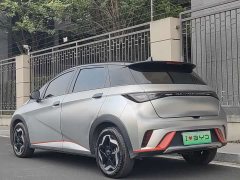 BYD Dolphin 405km Freedom Edition - ფოტო 4