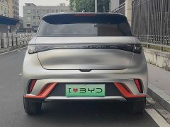 BYD Dolphin 405km Freedom Edition - ფოტო 5