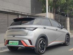 BYD Dolphin 405km Freedom Edition - ფოტო 6