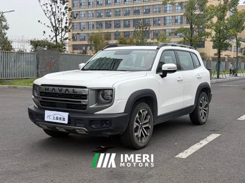 2024 Great Wall Dachshund 1.5T DCT Labrador Edition - ავტომობილი ჩინეთიდან